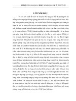 MỘT SỐ ĐÁNH GIÁ VỀ TỔ CHỨC HOẠT ĐỘNG KIỂM TOÁN TẠI CPA VIỆT NAM.DOC