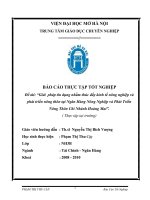 Giải pháp tín dụng nhằm  thúc đẩy  kinh tế nông nghiệp và phát triển nông thôn tại chi nhánh Ngân hàng Nông nghiệp & Phát triển Nông thôn -  Hoàng Mai .DOC