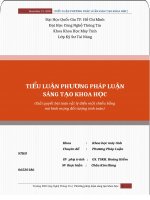 Tiểu luận Phương pháp Sáng tạo Nghiên cứu Khoa học