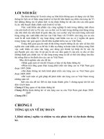 Dự đoán thống kê về sản lượng cao su của Việt Nam giai đoạn 2005-2007.DOC