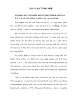 Báo cáo tổng hợp khái quát về xí nghiệp điện tử truyền hình Việt nam.doc