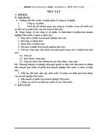 Cổ phần hoá doanh nghiệp nhà nước ở nước ta thực trạng và giải pháp.DOC