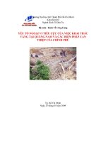 Tiểu luận Yếu tố ngoại vi tiêu cực của việc khai thác vàng tại quãng nam và các biện pháp can thiệp của chính phủ.doc