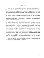 Đầu tư trực tiếp nước ngoài với sự phát triển khu công nghiệp, khu chế xuất ở Việt Nam.DOC