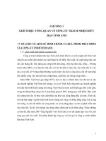 GIỚI THIỆU TỔNG QUAN VỀ CÔNG TY TRÁCH NHIỆM HỮU HẠN TINH ANH.doc