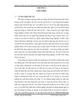 Phân tích hiệu quả hoạt dộng kinh doanh của Công ty cho thuê tài chính II – Cần Thơ.doc