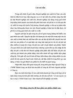 Kế toán nguyên vật liệu ở công ty TNHH Thành long.doc