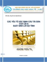 Các yếu tố xác định cầu tài sản của cải và xuất sinh lời dự tính