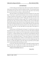 Chính sách khuyến khích xuất khẩu gạo của Mỹ.docx