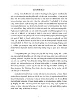 Hoàn thiện tổ chức kế toán thành phẩm và tiêu thụ thành phẩm ở Công ty Da giầy Hà Nội.DOC