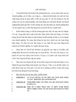 Kế toán bán hàng và xác định kết quả hoạt động kinh doanh ở Công ty Cổ phần xuất nhập khẩu Hà Anh.docx