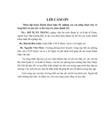 Phân tích hoạt động sản xuất kinh doanh của Công ty CP Dược phẩm Nghệ An.DOC