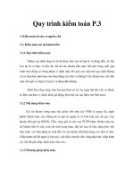 Quy trình kiểm toán P.3.pdf