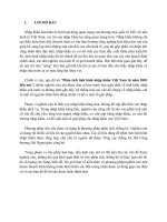 Phân tích tình hình nhập khẩu Việt Nam từ năm 2001 đến nay.doc