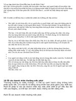 Vì sao bạn thích làm giám đốc 