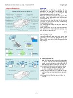 TOYOTA đào tạo kỹ thuật viên ô tô (Kỹ Thuật Viên 1) - P12