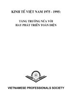 Tình hình Việt Nam từ năm 75-95