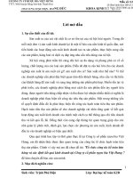 Tổ chức công tác kế toán bán hàng và xác định kết quả kinh doanh tại Công ty cổ phần rựợu bia Việt Hưng.doc