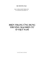 Hiện trạng ứng dụng Thương mại điện tử ở Việt Nam.pdf