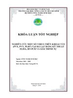 Ứng dụng kỹ thuật PCR - RFLP xác định các kiểu gen thụ thể prolactin trên giống heo Yorkshire
