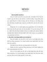 Một số giải pháp nhằm nâng cao hiệu qủa hoạt động marketing trong ngành thép Việt Nam