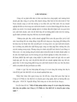 Một số biện pháp nhằm củng cố và mở rộng thị trường tiêu thụ sản phẩm của Công ty Cổ Phần tư vấn thiết kế và chuyển giao công nghệ