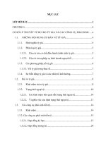 Ứng dụng công cụ phái sinh tiền tệ trong việc phòng ngừa rủi ro tỷ giá – thực tiễn trên thế giới và bài học kinh nghiệm cho Việt Nam.doc