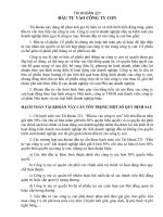 đầu tư vào công ty con.doc