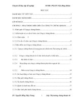 Giải pháp phát triển hoạt động môi giới của Công ty CP chứng khoán Thăng Long.DOC