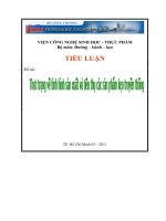 Thưc trạng về tình hình sản xuất và tiêu thụ các sản phẩm kẹo truyền thống