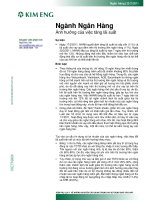 Tăng lãi suất Ngân hàng và hệ lụy 2011