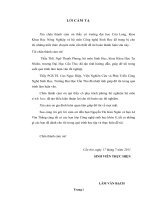 Hiệu quả của vi khuẩn cố định đạm Burkholderia sp. trên cây lúa cao sản trồng ở Hậu Giang