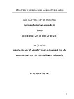 Thử nghiệm Thương mại điện tử Trong kinh doanh một số dịch vụ du lịch.pdf