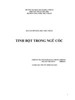 Tinh bột trong ngũ cốc