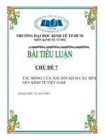 Tiểu Luận Vĩ Mô TÁC ĐỘNG CỦA HAI GÓI KÍCH CẦU ĐẾN NỀN KINH TẾ VIỆT NAM.doc