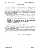 Kế toán tiêu thụ và xác định kết quả hoạt động kinh doanh tại công ty Cổ Phần Kỹ Nghệ Thực Phẩm Phú Yên.doc