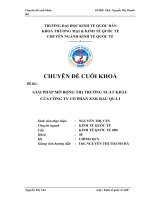 Giải pháp mở rộng thị trường xuất khẩu rau quả của Công ty cổ phần xuất nhập khẩu rau quả I.doc