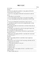 Thực trạng và giải pháp đẩy mạnh phát triển công nghiệp chế biến và xuất khẩu hàng hoá ở 1 số ngành sản phẩm cụ thể.DOC