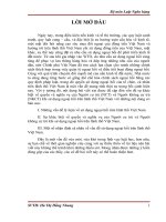 Sử dụng ngoại hối trên lãnh thổ Việt Nam.doc