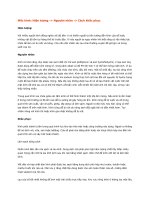 Mốc kính-hiện tượng- nguyên nhân và cách khắc phục