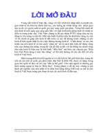 Giải pháp khắc phục tác động tiêu cực của Đô la hóa tại Việt Nam.doc