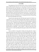 Khu vực mậu dịch tự do ASEAN - Trung Quốc và một số giải pháp thúc đẩy hội nhập của Việt Nam.doc