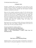 The Marketing Strategy of Hung Long Jsc.doc