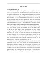 Chính sách bảo hộ hợp lý sản xuất trong nước của một số quốc gia trên thế giới và bài học kinh nghiệm cho Việt Nam.doc