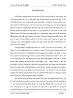 Hạch toán tập hợp chi phí sản xuất và tính giá thành sản phẩm tại Công ty Cổ phần đầu tư và xây dựng Thiên Danh An - TP Da Nang.doc