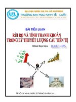 Rủi ro và tính thanh khoản trong lý thuyết lượng cầu tiền tệ