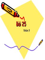 Hình hoc xạ ảnh 25