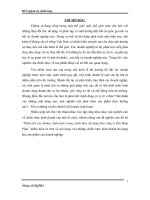 Phân tích các hướng chiến lược trong chiến lược đa dạng hóa công ty Tân Hiệp Phát.pdf