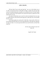 Hạch toán kế toán tiêu thụ và xác định kết quả kinh doanh tại công ty TNHH Gioovanni Việt Nam.doc