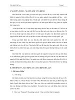 Căn bệnh Hà Lan 1.doc